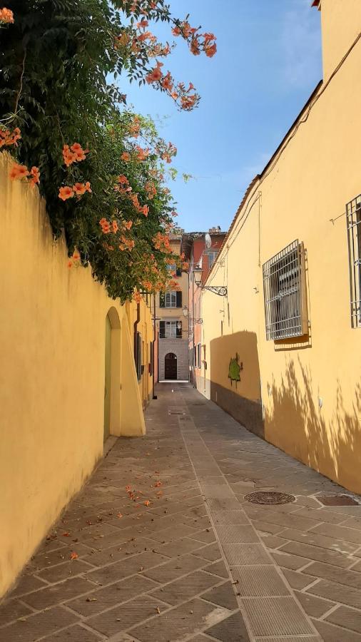 Casa Campanella Bed & Breakfast Pisa Dış mekan fotoğraf